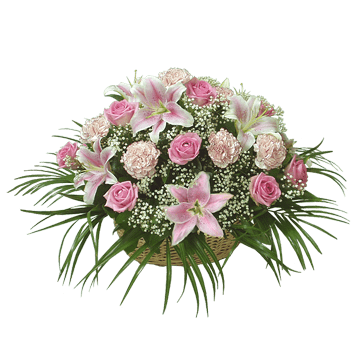 Комплімент