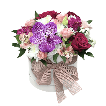 Дороговказна зірка