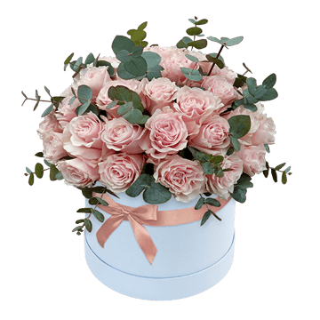 Roses in box