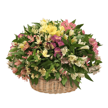 Корзина с альстромериями