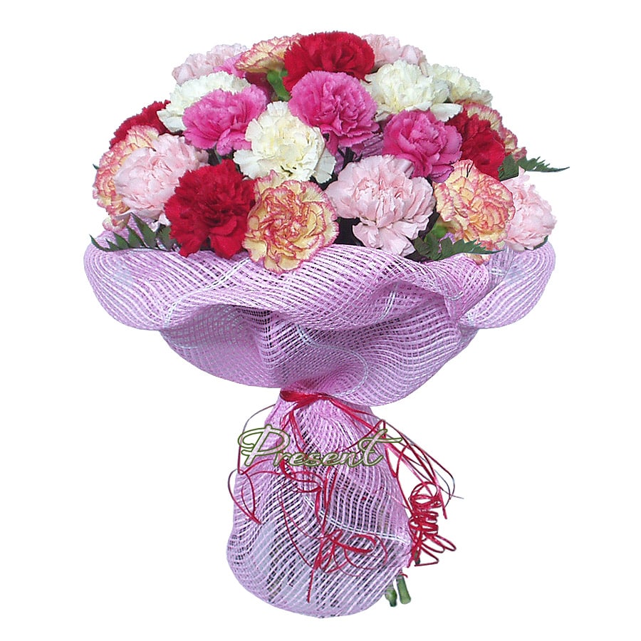 Bouquet of colorful carnations.