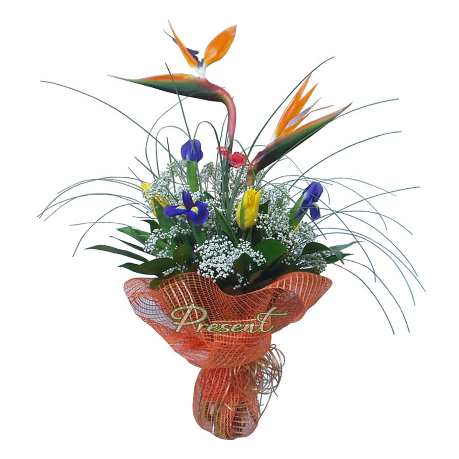 Blumenstrauß aus Iris, Tulpen, Strelitzien