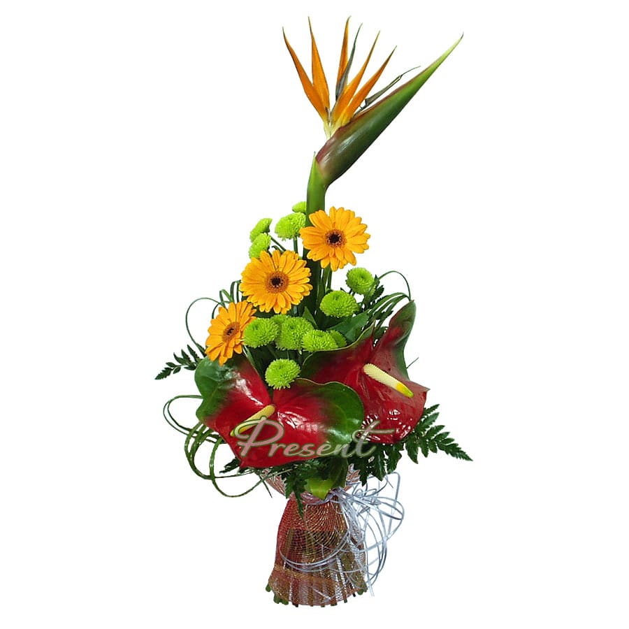 Bouquet of anthuriums, gerberas and strelitzias.